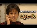 Episode 1018 Chakravakam Telugu Daily Serial Manjula Naidu Loud Speaker