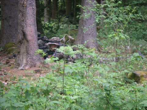 Softair - Prêles - 23.05.09