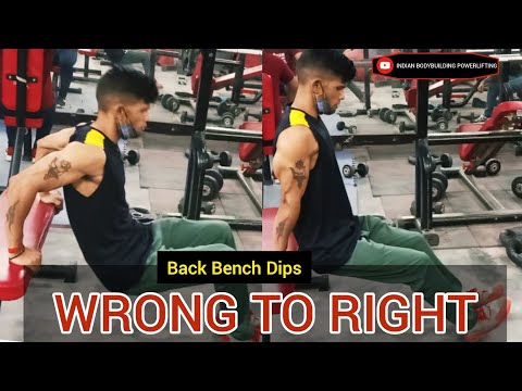 Wrong To Right || Back Bench Dips || S-2 By INDIAN BODYBUILDING POWERLIFTING