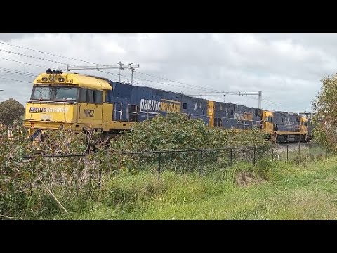 7MP7 With NR2, NR40, NR26