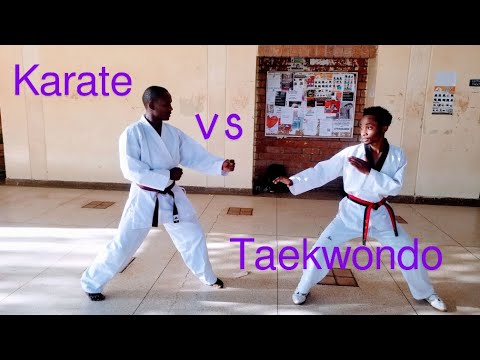 Karate vs Taekwondo ~ Sparring