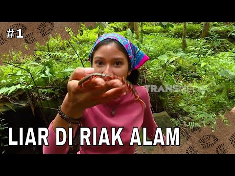LIAR DI RIAK ALAM | JEJAK PETUALANG (16/01/26) Part 1