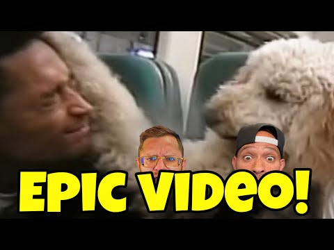 American Rapper FIRST time EVER hearing Loyle Carner - Ottolenghi Ft. Jordan Rakei