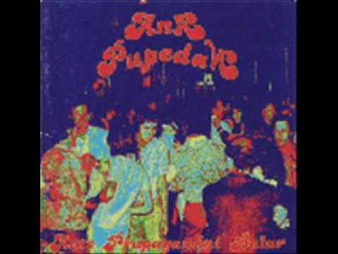 Ana Pupedan - Sejem plastike in skaja