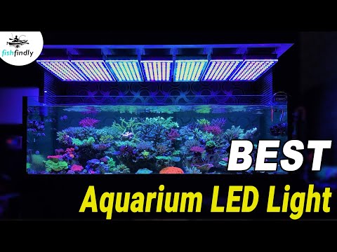 10 best aquarium led lighting, top rated lights compared