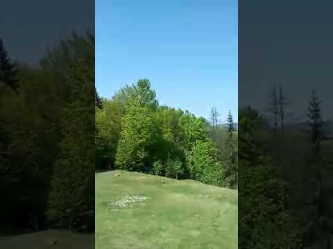 Закарпаття