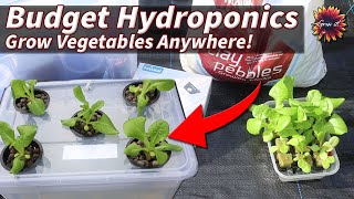 Thumbnail for video: Make A Mini Hydroponics System On A Budget - Grow Perfect Plants EVERY Time!