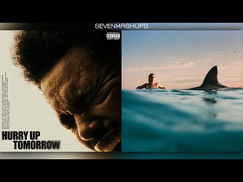 Open Hearts x Falling Forever | MASHUP feat. The Weeknd & Dua Lipa