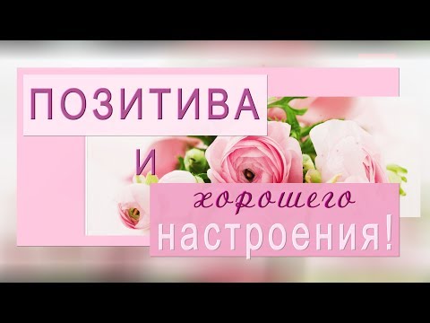 🌞Доброго дня! 🌞Хорошего настроения!🌞Позитива! 🌞Анимационное пожелание 4К