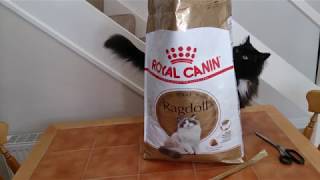 royal canin adult ragdoll cat food 10kg unbaging demonstration