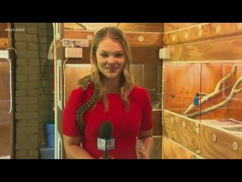 Worth the Watch: Reporter does story with snake around her neck