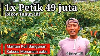 Download lagu Pengusaha Muda, Sukses Hasilkan RATUSAN JUTA Dari Bertani ! mp3