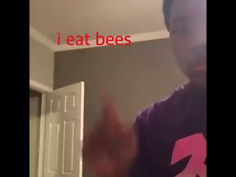 tumblr p0ngu3ezjo1w7n9x6