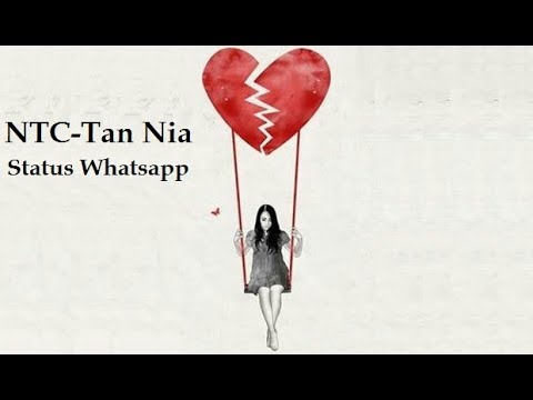 Status Whatsapp - NTC Tan nia 💔