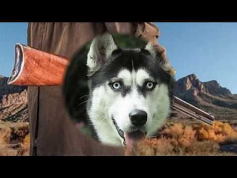 Lovec Kožešin - Betl Band - Seč Band - (Music video by Bob Martinec)