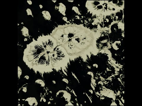 Karyokinesis - Carlos Lacasa & Pedro Roldán