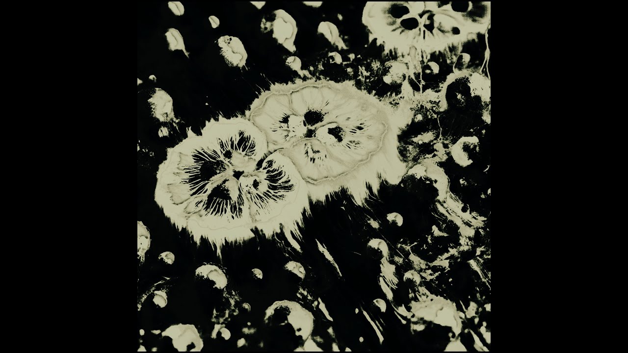 Karyokinesis - Carlos Lacasa & Pedro Roldán