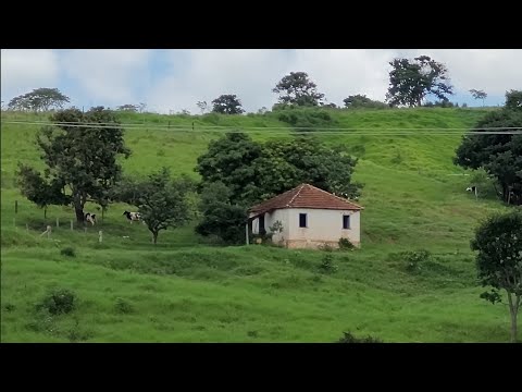 Venerating Saint Joseph of Rio Pardo Farm