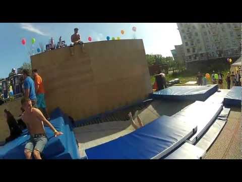 crazy zebra summer 2012