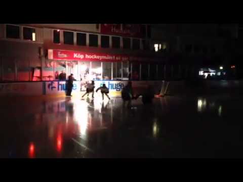 Czech Vikings Lions Cup 2015 - nástup na finále