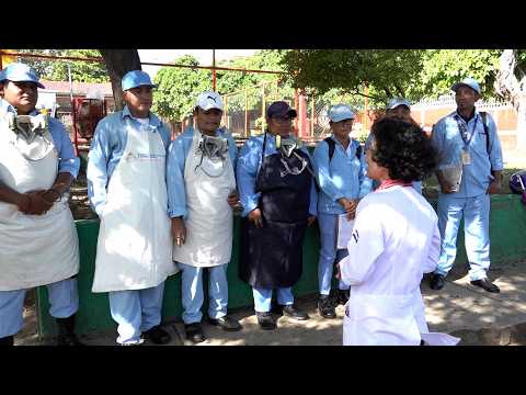 Refuerzan fumigación en Managua para combatir el dengue