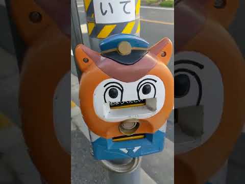 信号機の隠しボタン:この秘密の機能を知らない人も多い