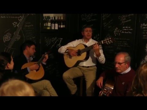 João Chora, "Fado Dois Tons" - "Como é triste a Primavera"