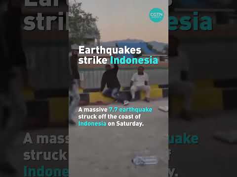 Earthquakes strike Indonesia