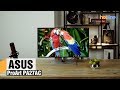 ASUS PA27AC - видео