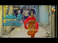 Tan Man Neel O Neel A Powerful Message Against Mob Mentality Hassan Badshah Saife Hasan HUMTV