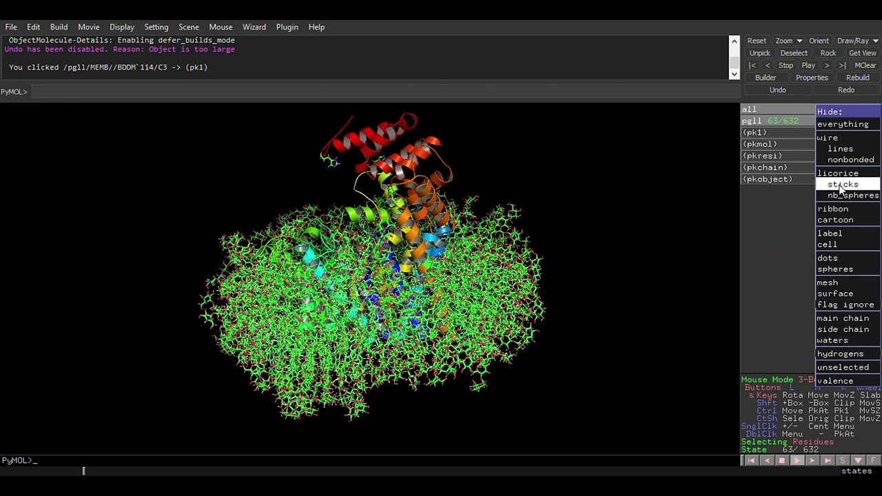 Molecular Dynamic simulation of an Integral Membrane Protein, Bacterial Oligotransferase PglL.