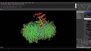 Molecular Dynamic simulation of an Integral Membrane Protein, Bacterial Oligotransferase PglL.