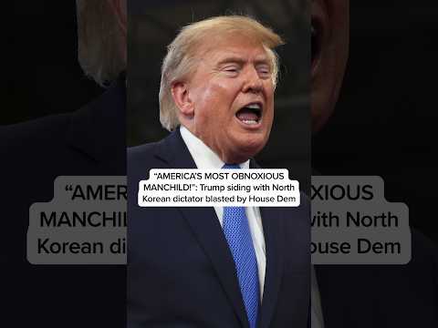 ‘AMERICA’S MOST OBNOXIOUS MANCHILD!’: Trump siding with North Korean dictator blasted by House Dem