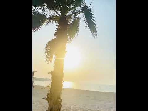 Kite ￼ beach 🏖️Jumaira  🩶#visitdubai