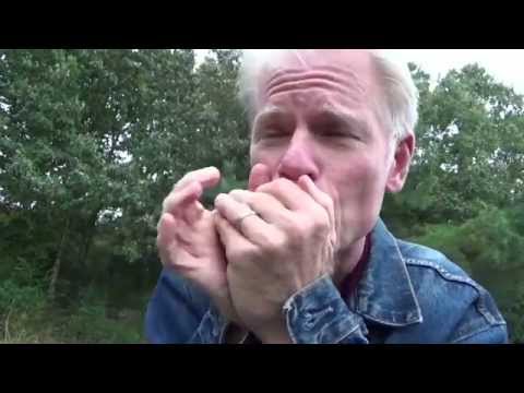 basic juke joint harp 2