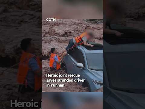 Heroic joint rescue saves stranded driver in Yunnan