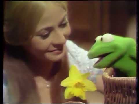 The Frog Prince: I'm Nineteen