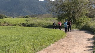VOTV - Fins a 460 persones participen a la 22a Caminada Popular de les Franqueses