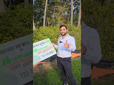 Trail Hawk Tree Experts | Tree Removal for Your Sukkah & Fruit Tree Transplanting experts