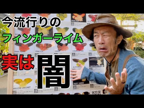 園芸 ライムクワット