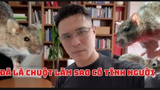CHUỘT MUÔN ĐỜI LÀ VẬT THÍ NGHIỆM 