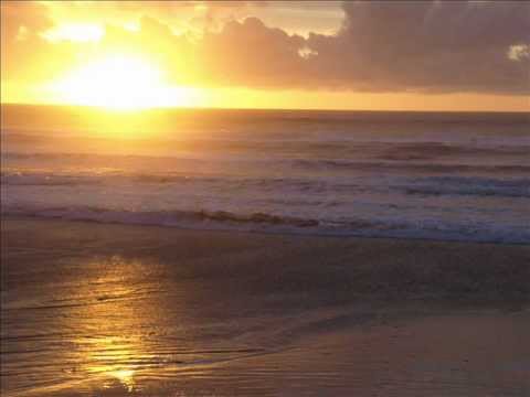 Thank You.wmv