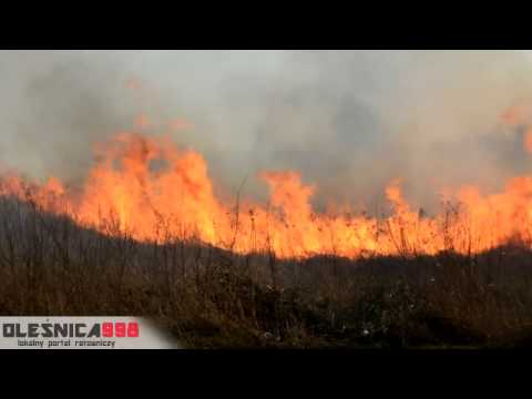 04.03.2017- Duży pożar nieużytków na kwadratach
