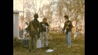 Hjärnsubstans  -  Raggare e svin  -  Svensk Punk  (1979)