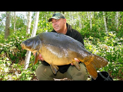 Karpfenangeln VTB 67 - Endlich wieder am Wasser // Unterwasseraufnahmen vom Baggersee