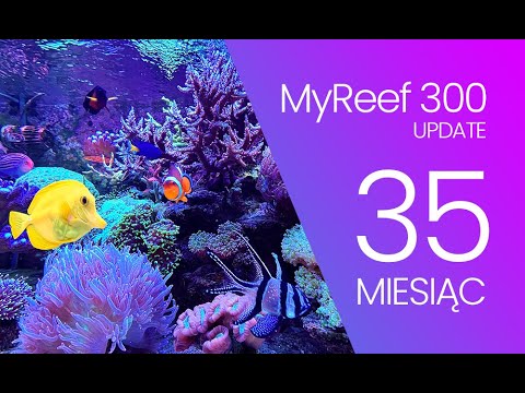 (175) MyReef 300 / Update / 35th month - Marine aquarium - Reef aquarium