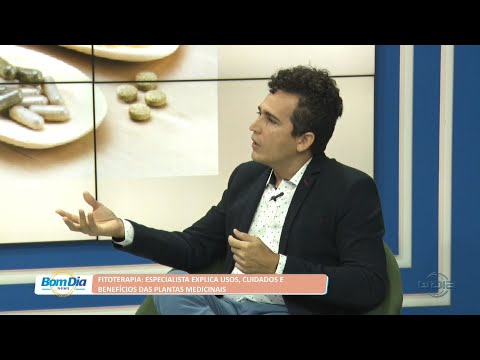 Fitoterapia: Especialista explica usos, cuidados e benefícios das plantas medicinais 05 08 2022