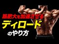 【筋トレ】ディロードの種類・方法・期間を解説 | 筋肥大を加速させるテクニック【ビーレジェンド プロテイン】