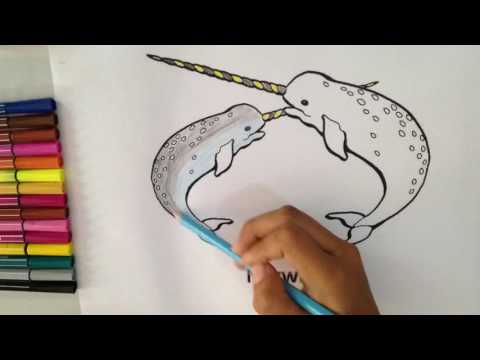Narwhal Coloring Page
