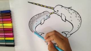 Learn Coloring for kids Narwhal, Coloring Page For Kids |SNK|